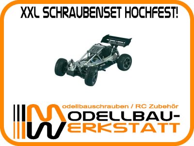 XXL Schrauben-Set für Reely Alu Fighter 1:8 Buggy 4WD Stahl hochfest!